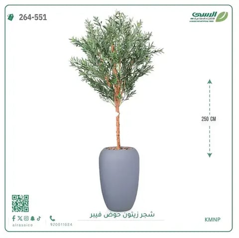شجر زيتون صناعية ( ارتفاع 250 سم ) حوض فيبر
