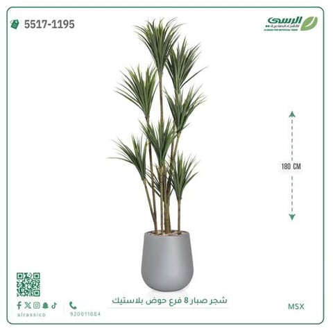 شجر صبار صناعية ( ارتفاع 180 سم ) حوض بلاستيك