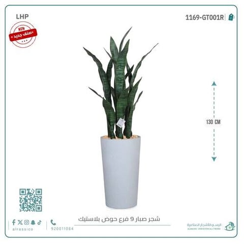 صبار جلد النمر أخضر ب9 فروع