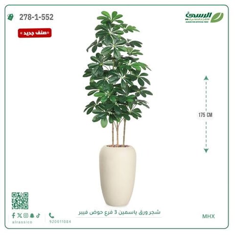 شجرة ورق ياسمين صناعية 3 فروع (ارتفاع 175 سم) حوض فيبر