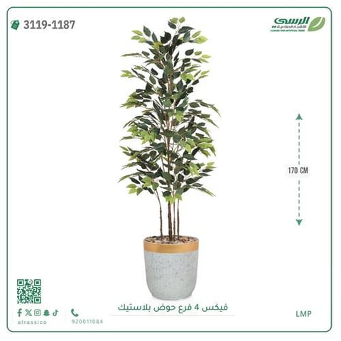 شجر فيكس صناعية ( ارتفاع 170 سم ) حوض بلاستك