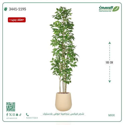 شجرة فيكس بنجامينا صناعية (ارتفاع 185 سم) حوض بلاستيك