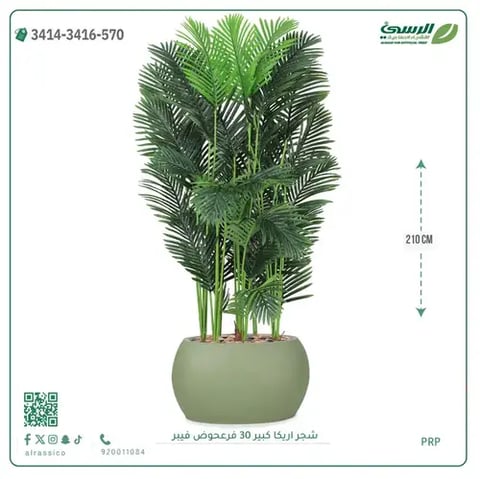 شجر أريكا صناعية ( ارتفاع 210 سم ) حوض فيبر