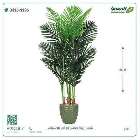 شجر أريكا صناعية ( ارتفاع 155 سم ) حوض بلاستك