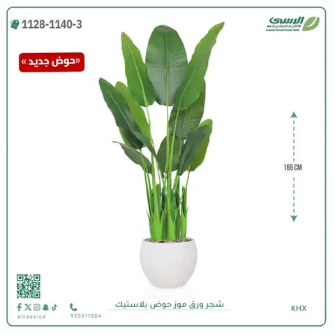 شجرة موز صناعية ( ارتفاع 165 سم ) حوض بلاستيك