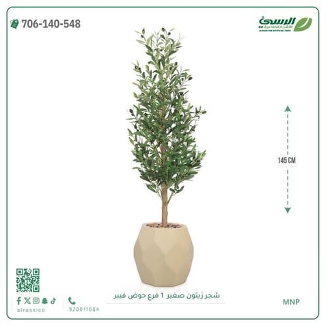شجرة الزيتون الصناعية (ارتفاع 145 سم) حوض فيبر