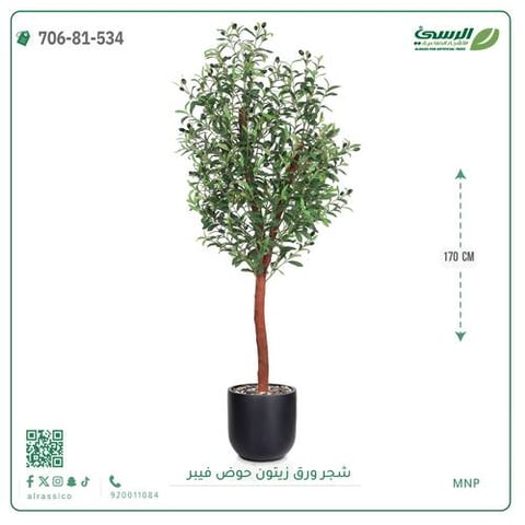 شجرة زيتون صناعية ( ارتفاع 170 سم ) حوض فيبر أسطواني