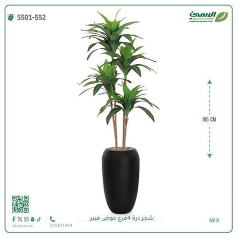 شجرة ذرة اصطناعية ( ارتفاع 165 سم ) حوض فيبر