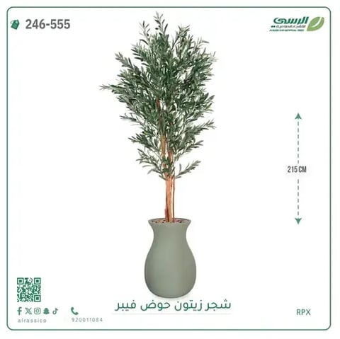 شجر زيتون صناعية ( ارتفاع 215 سم ) حوض فيبر