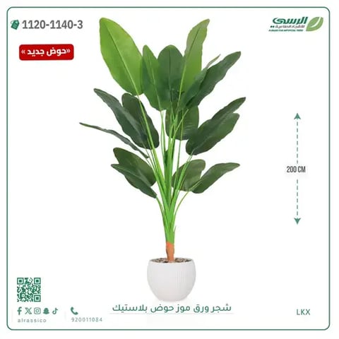 شجرة موز صناعية ( ارتفاع 200 سم ) حوض بلاستيك