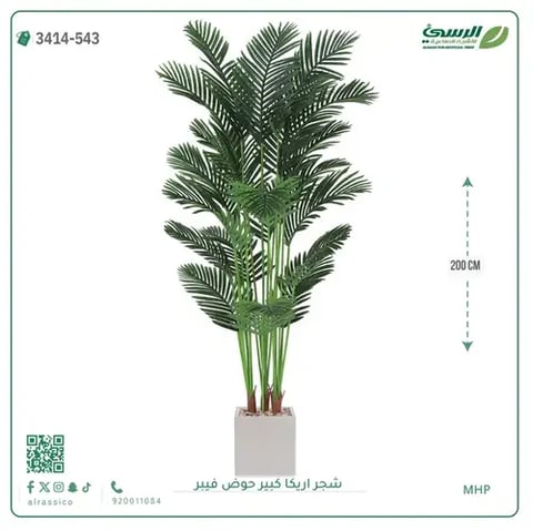 شجر أريكا صناعية ( ارتفاع 200 سم ) حوض فيبر