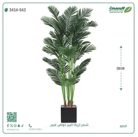 شجر أريكا صناعية ( ارتفاع 200 سم ) حوض فيبر