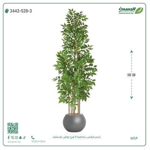 شجرة فيكس بنجامينا صناعية 6 فروع (ارتفاع 180 سم) حوض بلاستيك