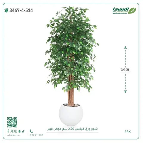 شجر فيكس صناعية (ارتفاع 220 سم) حوض فيبر