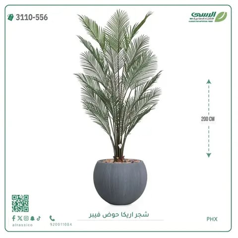 شجرة اريكا صناعية ( ارتفاع 200 سم ) حوض فيبر
