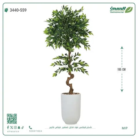 شجرة فيكس عود مائل صغيرة صناعية (ارتفاع 195 سم) حوض فيبر