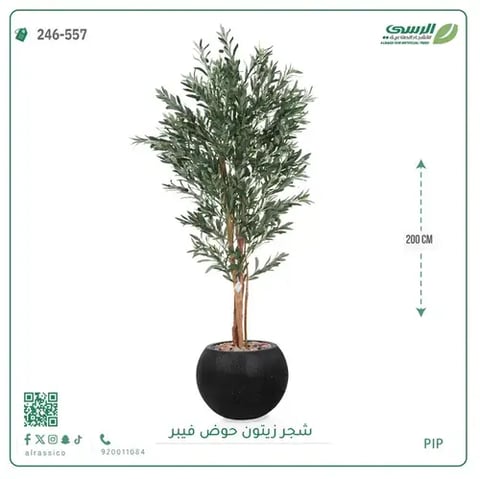 شجر زيتون صناعية ( ارتفاع 200 سم ) حوض فيبر