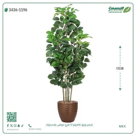 شجرة كاميليا صناعية (ارتفاع 170 سم) بحوض بلاستيك