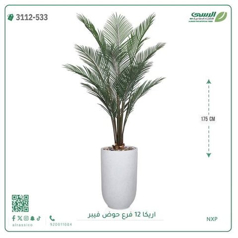 شجر أريكا صناعية ارتفاع 175 سم حوض فيبر