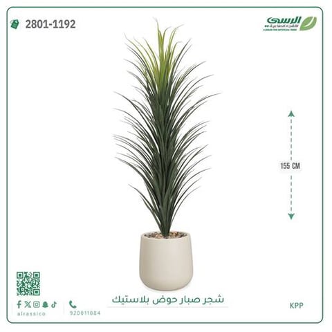 شجر صبار صناعي ( ارتفاع 155 سم ) حوض بلاستيك