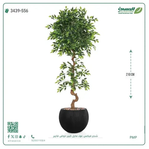 شجرة فيكس صناعية عود مائل (ارتفاع 210 سم) حوض فيبر