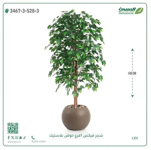 شجر فيكس صناعية (ارتفاع 145 سم) حوض بلاستيك