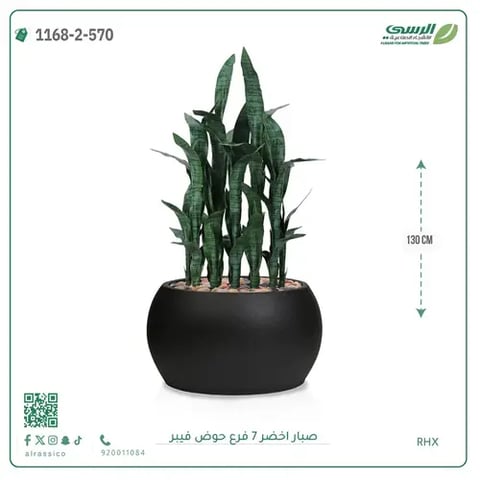 صبار صناعية ( ارتفاع 130 سم ) حوض فيبر