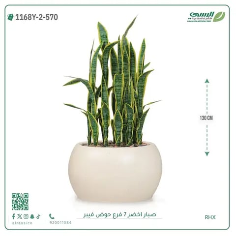صبار صناعية ( ارتفاع 130 سم ) حوض فيبر