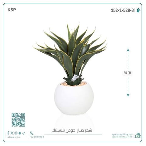 صبار ذيل الثعلب الصناعي بمركن بلاستيك دائرى  