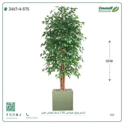 شجر فيكس صناعية (ارتفاع 220 سم) حوض فيبر
