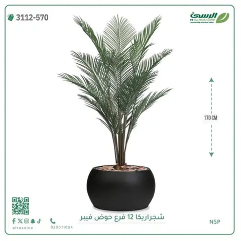 شجرة أريكا صناعية 12 فرع (ارتفاع 170 سم) حوض فيبر