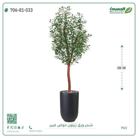 شجرة الزيتون الصناعية (ارتفاع 200 سم) حوض فيبر