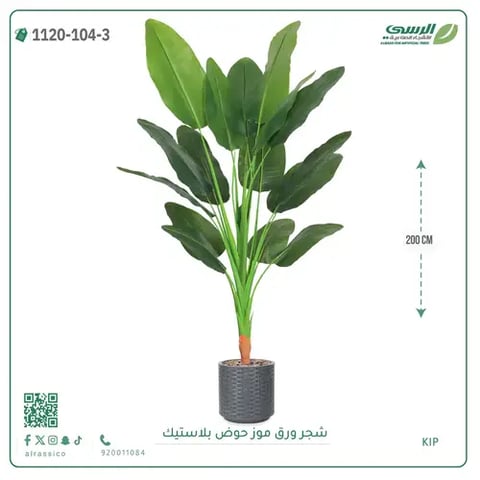 شجرة موز صناعية ( ارتفاع 200 سم ) حوض بلاستيك
