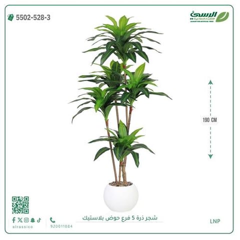 شجرة ذرة صناعية (5 فروع) ارتفاع 190 سم حوض بلاستيك