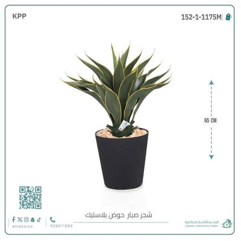 صبار ذيل الثعلب الصناعي بمركن بلاستيك اسطوانى 