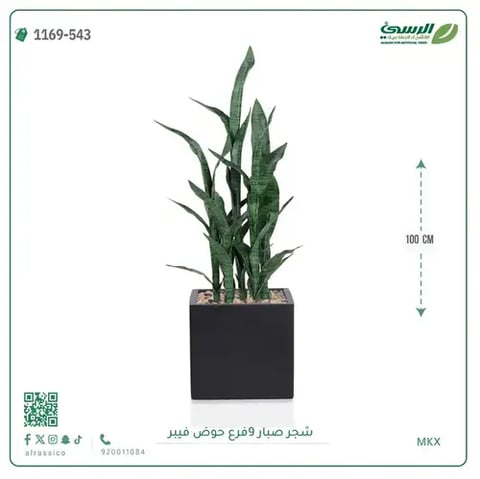 شجر صبار صناعية ( ارتفاع 100 سم ) حوض فيبر