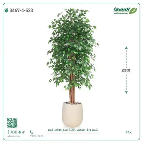 شجر فيكس صناعية (ارتفاع 220 سم) حوض فيبر