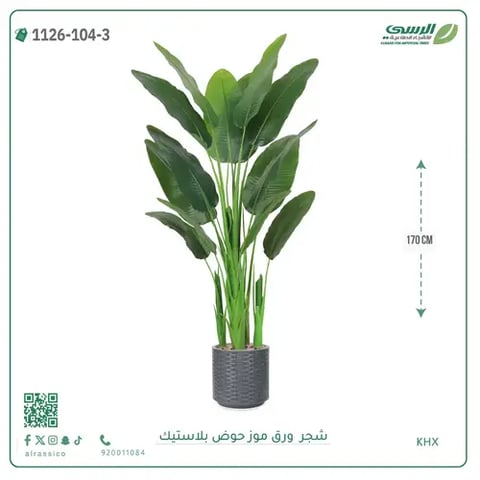 شجرة موز صناعية ( ارتفاع 170 سم ) حوض بلاستيك