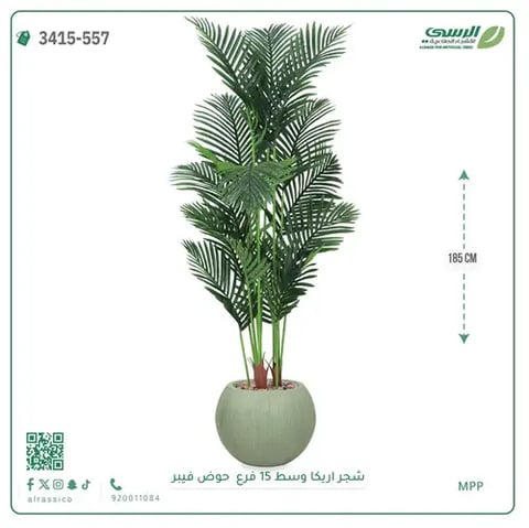 شجرة أريكا صناعية 15 فرع (ارتفاع 185 سم) حوض فيبر