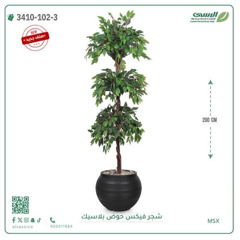 شجر فيكس صناعية ( ارتفاع 200 سم ) حوض بلاستك