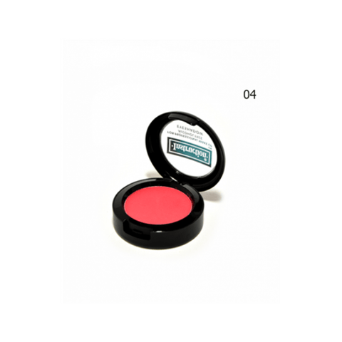 INSTRUCTION BLUSH 04