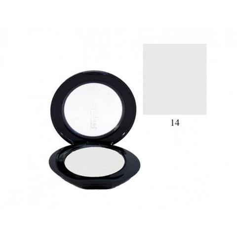 ELEGANT EYE SHADOW ALL-OVER SHINE 14