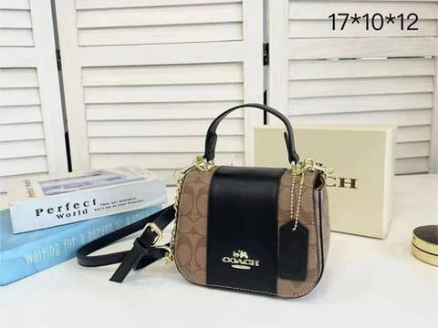 شنطة نسائية ماركة كوتش