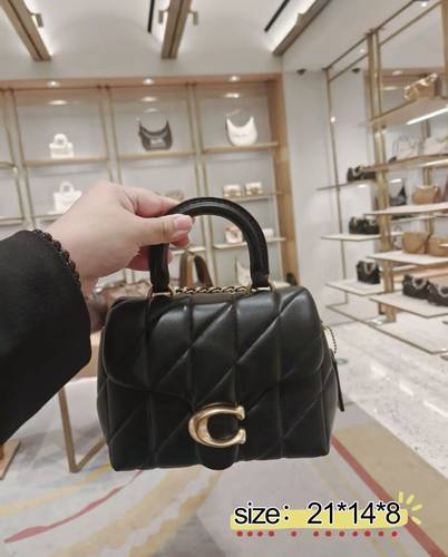 شنطة نسائية ماركة كوتش