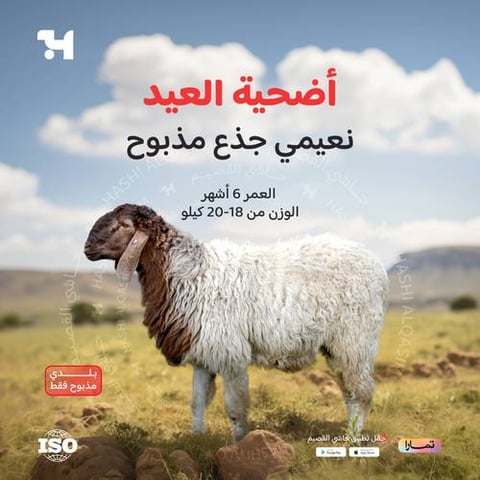 أضحية نعيمي جذع مذبوح