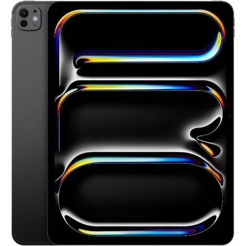ايباد برو 13 انش ام 4 (256GB) - اسود الفضاء