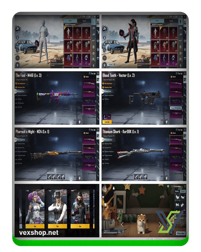 شراء حساب ببجي موبايل <<LV 53>> WHITE MUMMY SET|M416 JOKER LV 3|VECTOR BLOOD LV 2|M24 PHARAOH LV 1|KAR98 TITANIUM LV 1|PET DOG|#M354HL [وصول كامل] 