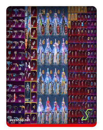 شراء حساب ببجي موبايل PUBG039-END GAME ACCOUNT ASIA VIP - 10 Gold Outfits - 3 VIP cars - 4 hot supercars - Many VIP fashion skins - 1 gun VIP - 6 guns [وصول كامل] 