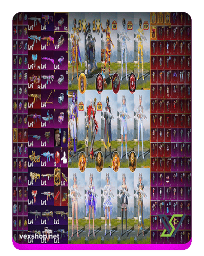 شراء حساب ببجي موبايل PUBG041- ASIA VIP - 5 Gold Outfits - 6 guns Lv7 - 3 VIP mummy skins - Many VIP fashion skins.. [وصول كامل] 