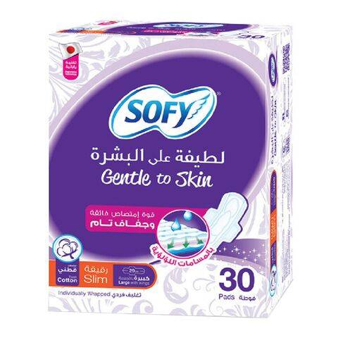 Sofy